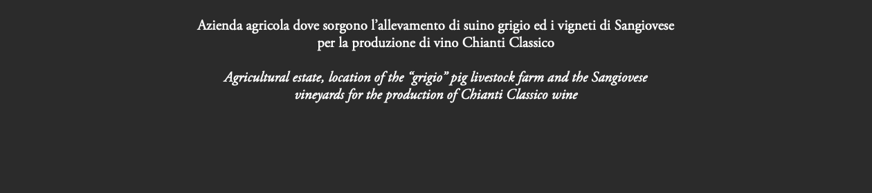  Azienda agricola dove sorgono l’allevamento di suino grigio ed i vigneti di Sangiovese per la produzione di vino Chianti Classico Agricultural estate, location of the “grigio” pig livestock farm and the Sangiovese vineyards for the production of Chianti Classico wine